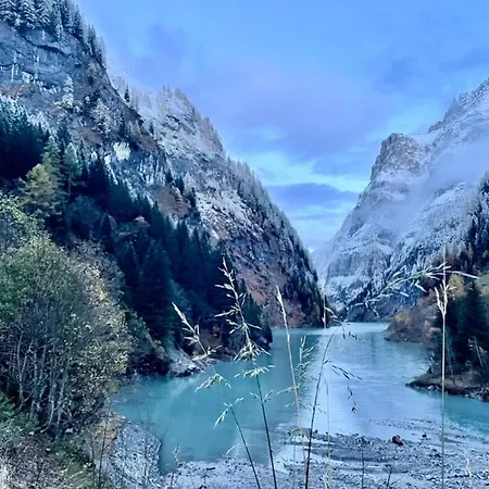 Hotel Alphotel & Bergrestaurant