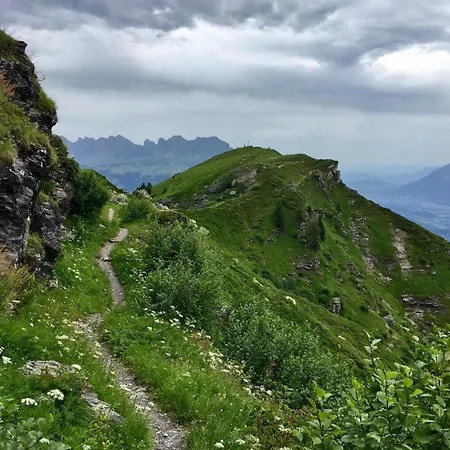 Alphotel & Bergrestaurant Hotel Sankt Martin