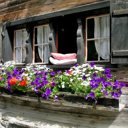 Hotel Alphotel & Bergrestaurant *