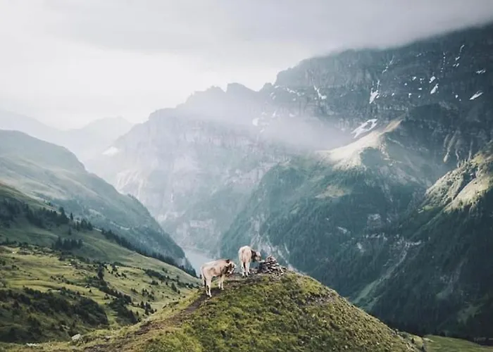 Alphotel & Bergrestaurant